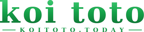 koi toto logo